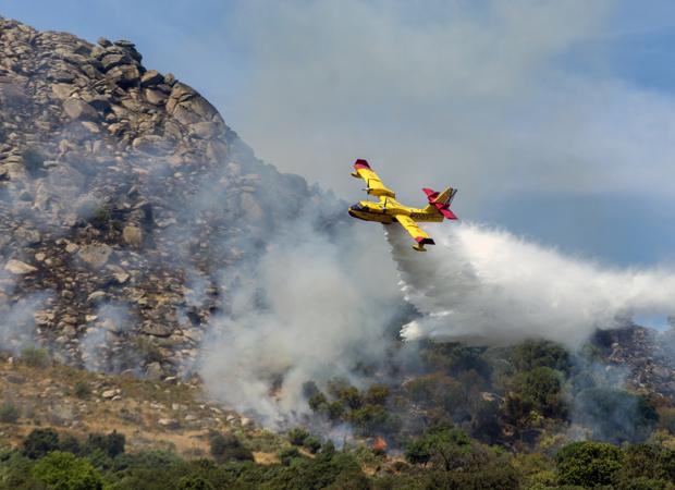 Se queman 100 hectáreas en el incendio de El Real de San Vicente