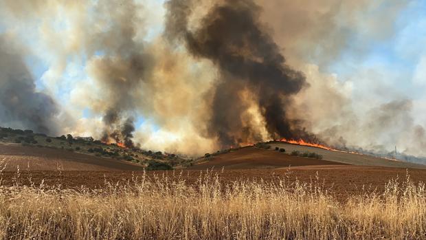 Dos vehículos provocan los primeros dos grandes incendios del verano en Madrid