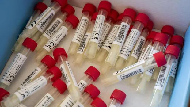 Un fallecido y 50 nuevos contagiados por coronavirus en Castilla-La Mancha en las últimas 24 horas