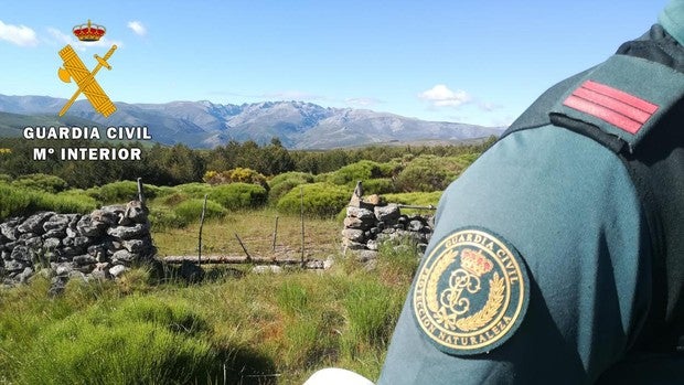 Investigan a un individuo por colocar trampas prohibidas en espacios naturales de Gredos