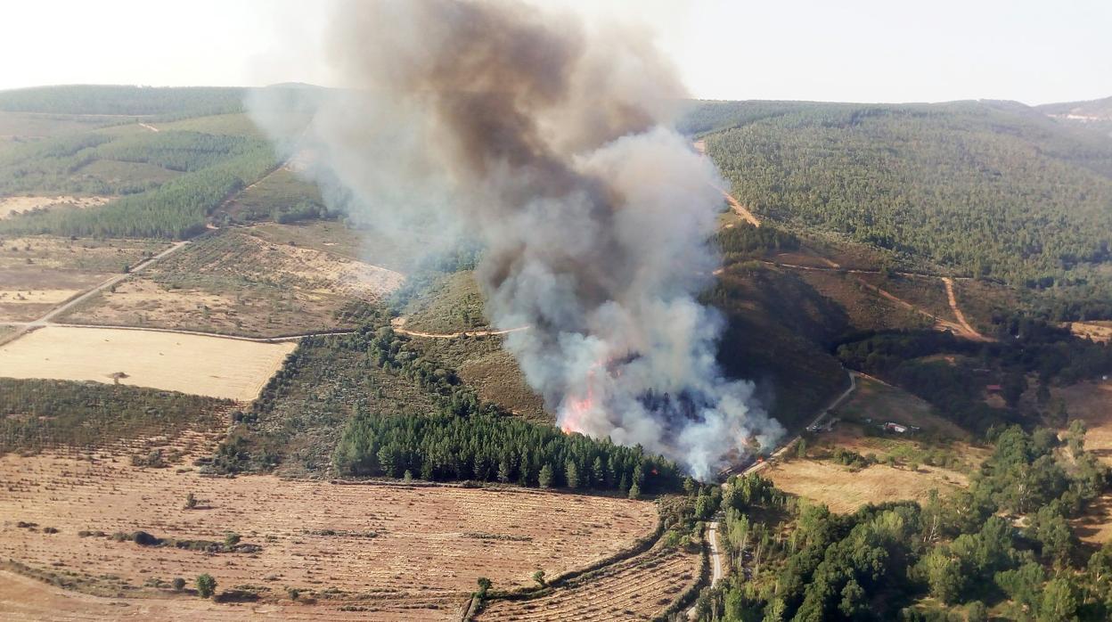 Incendio en Serradilla del Llano (Salamanca) que afecta a 30 hectáreas de zona de pinar