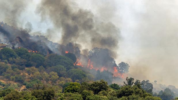 Se declara un incendio en Sevilleja de la Jara