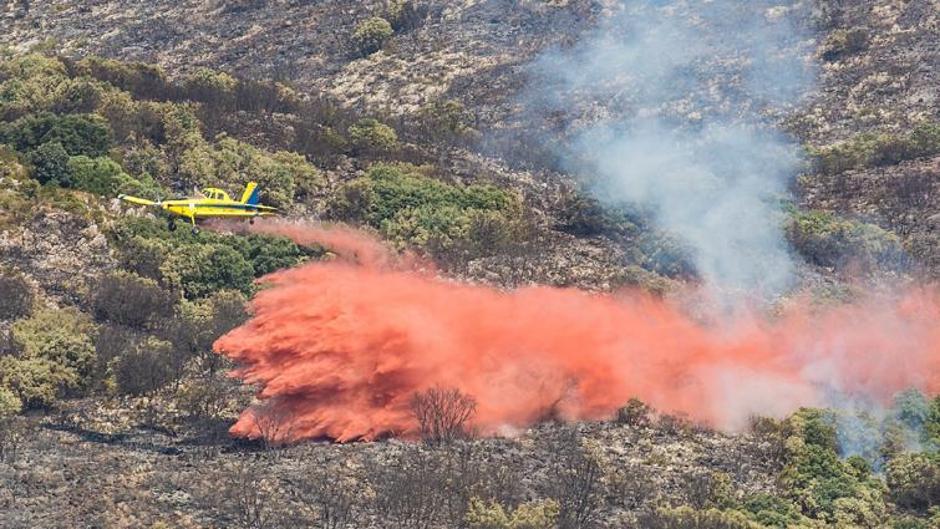 Bomberos luchan contra las llamas tras declararse cinco incendios forestales en menos de 24 horas