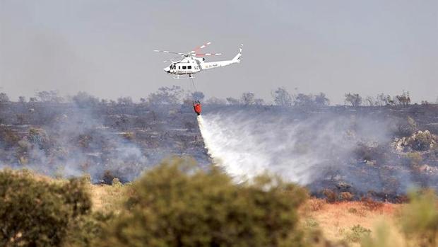 Extinguido el incendio declarado en Socuéllamos este domingo