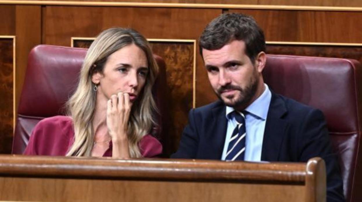 Álvarez de Toledo y Casado en el Congreso