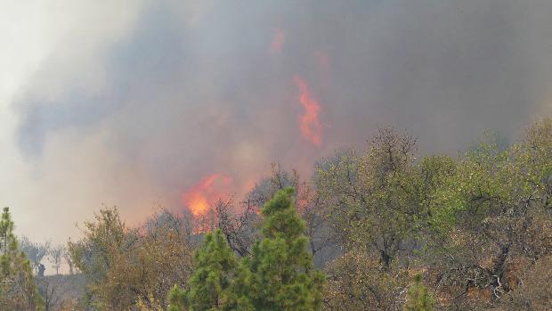 El fuego quema 400 hectáreas en La Palma y sigue sin control