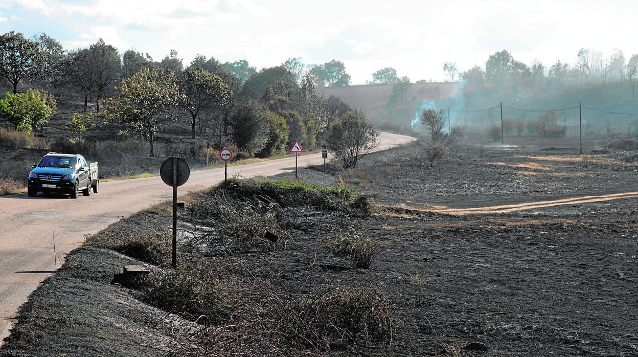 Terreno afectado por el incendio desatado en Lober de Aliste el pasado 15 de agosto que arrasó unas 2.000 hectáreas