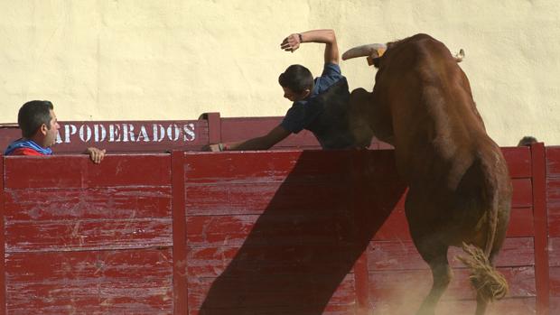 La Comunidad estudia revocar el permiso a la feria taurina de Alcalá de Henares