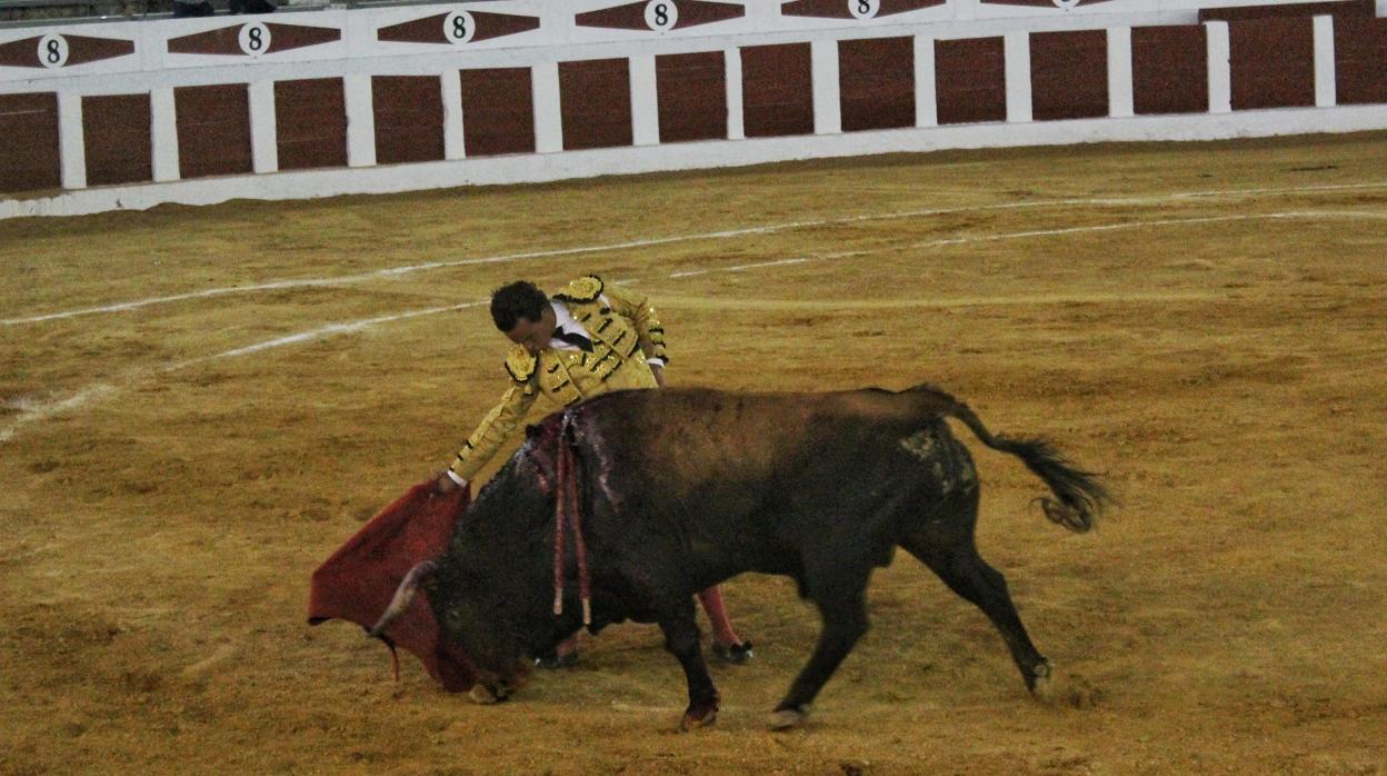 Un derechazo de Joaquín Galdós a «Chorlito», el toro indultado