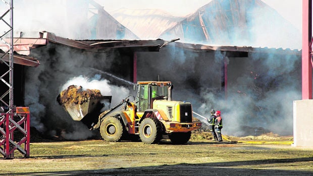 Junta y Gobierno comprometen apoyo a Cobadu tras su aparatoso incendio