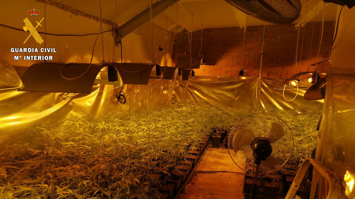 La vivienda estaba adaptada para el cultivo interior de marihuana