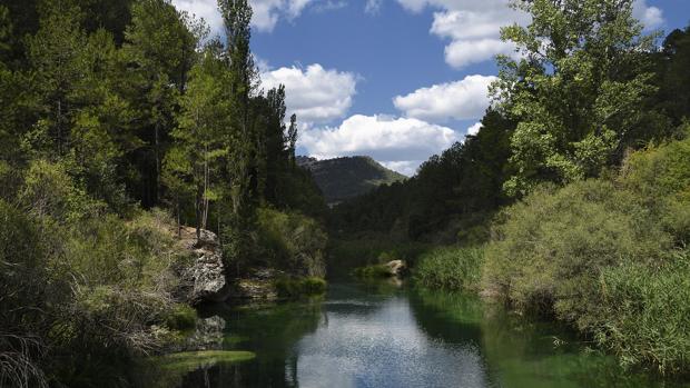 Rechazan un nuevo trasvase por las obras de reparación en el embalse de La Bujeda