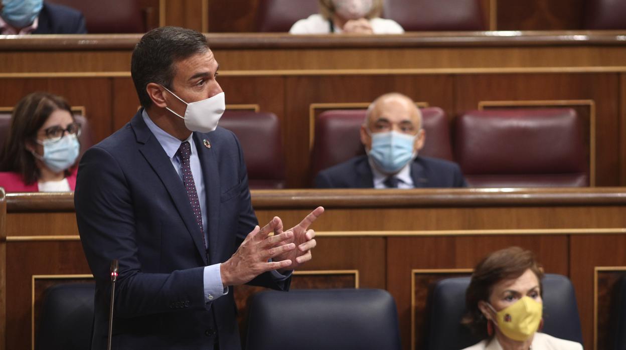 Pedro Sánchez, en la sesión de control al Gobierno en el Congreso