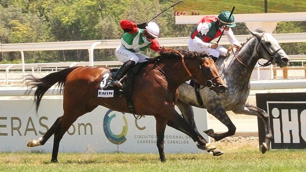 Comienza la temporada de otoño en el Hipódromo de La Zarzuela