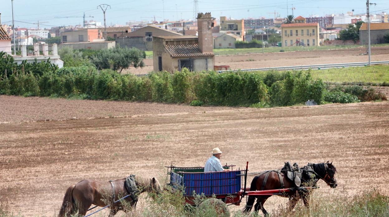 Imagen de archivo de la Ronda Norte de Valencia, donde se produjo la violación