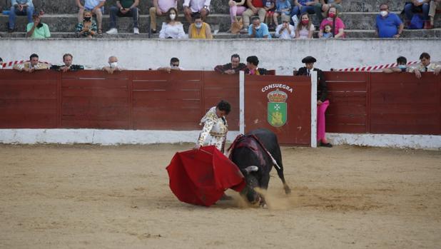 Daniel Luque, triunfador en la corrida de Consuegra