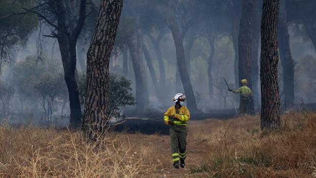 Cinco investigados por un incendio forestal en Simancas (Valladolid)