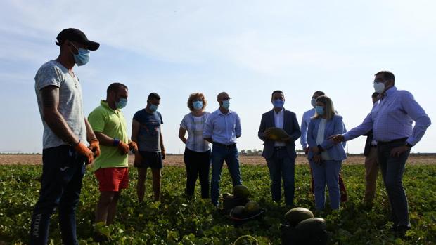 Castilla-La Mancha recolectará 380.000 toneladas de melón y sandía en 2020