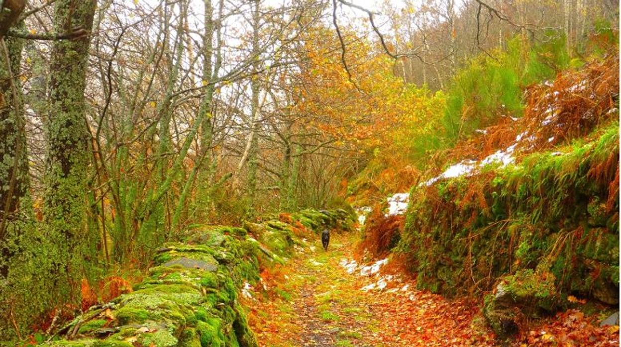 Así será el otoño en Castilla y León: «más calido y seco», con un veranillo de San Miguel hasta octubre