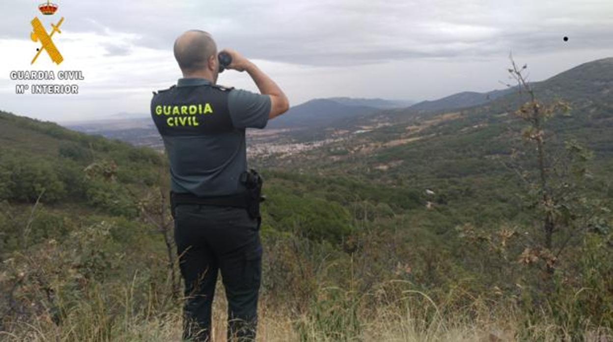 Fotografía que la Guardia Civil difundió con su comunicado de prensa sobre el operativo