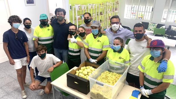 500 kilos de limones ecológicos de la Vega Baja para el licor más solidario