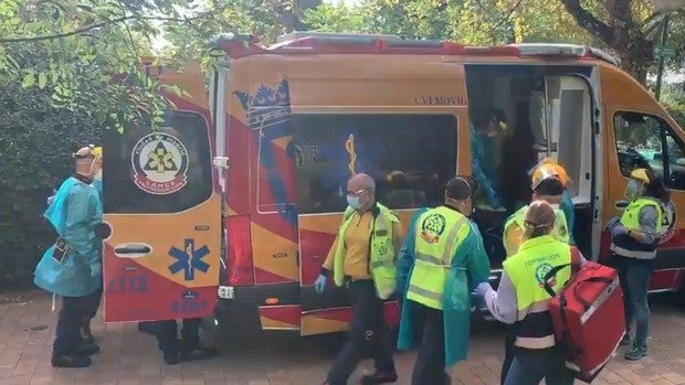 Una cuidadora del Zoo de Madrid, en estado grave tras ser atacada por un gorila