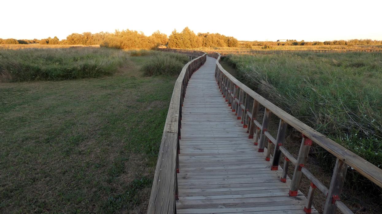 Pasarela del Parque Nacional de las Tablas de Daimiel