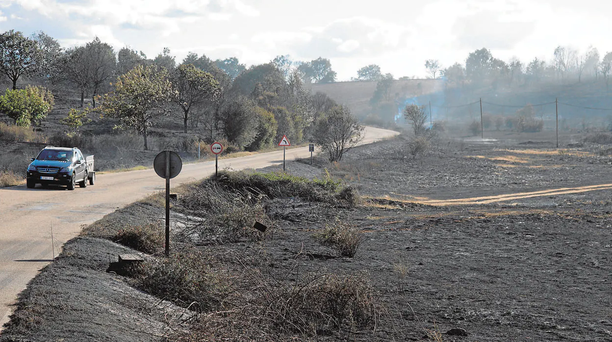 El incendio de Lober de Aliste, en la provincia de Zamora, arrasó 2.000 hectáreas en cinco días