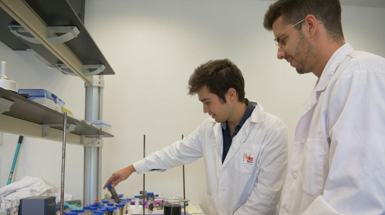 Personal de la start-up Bioferric Ink en sus laboratorios del Parque Científico de la Universidad UMH de Elche