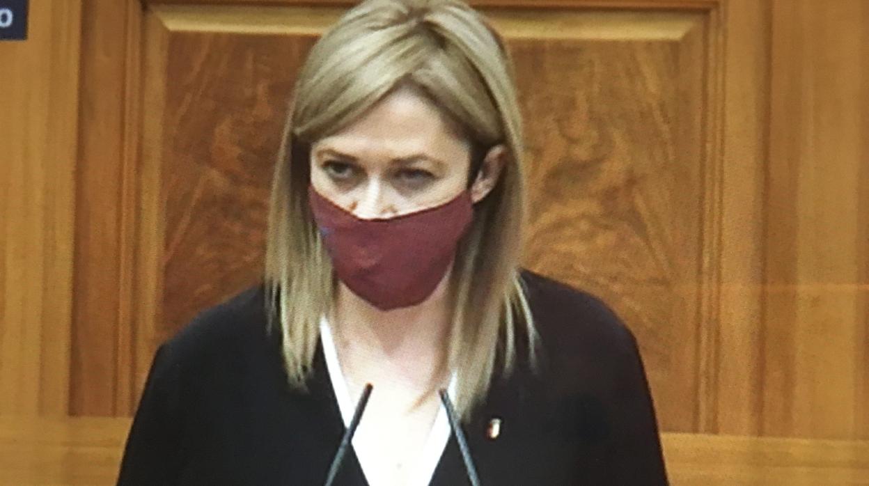 Carmen Picazo, durante su intervención en el Pleno