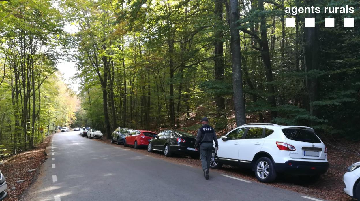 Una cuneta del Montseny, llena de vehículos el pasado fin de semana