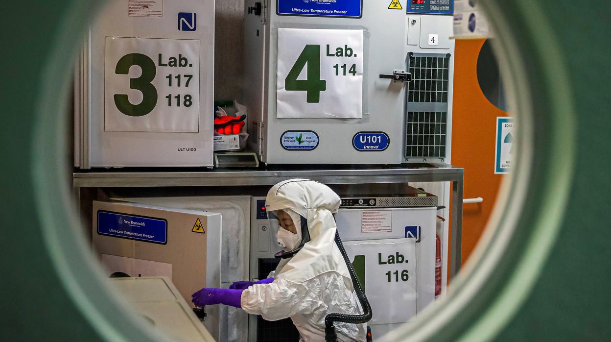 Un trabajador en el laboratorio de alta seguridad en el Centro Nacional de Biotecnología