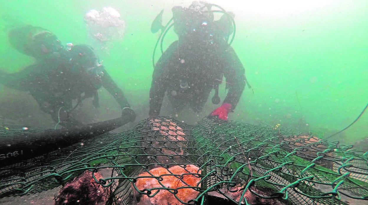 Parte de la excavación submarina encabezada y dirigida por Miguel San Claudio