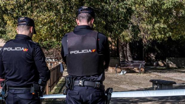 Detenido en Palma un hombre de 35 años por matar a su pareja sentimental