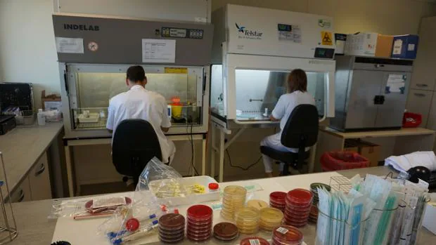 El Hospital Reina Sofía de Tudela se habilita para analizar PCR y pruebas de anticuerpos de Covid-19