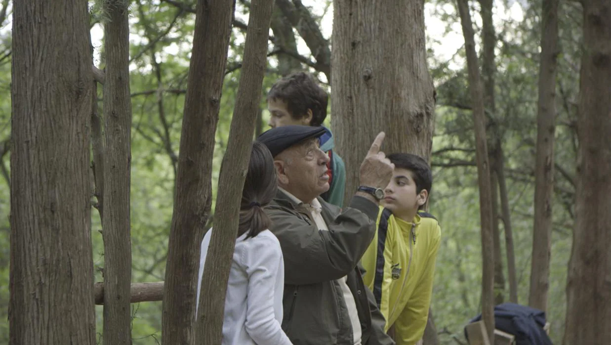 El abuelo de Dani, Gio y Vika, que fue leñador en Abjasia, les habla de los árboles que crecen en un parque de Tblisi