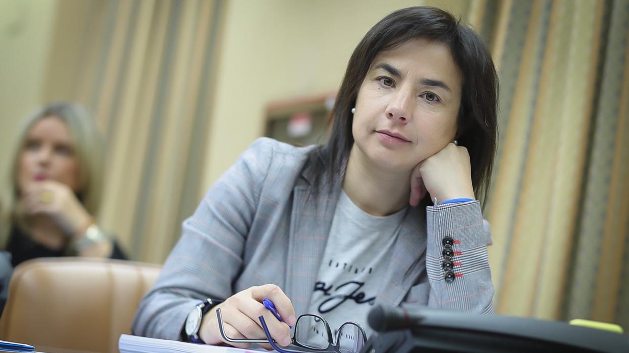 La diputada Ana Belén Vázquez, durante una comisión en el Congreso