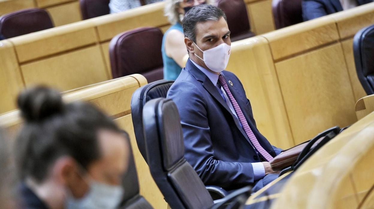 El presidente del Gobierno, Pedro Sánchez, en el Senado