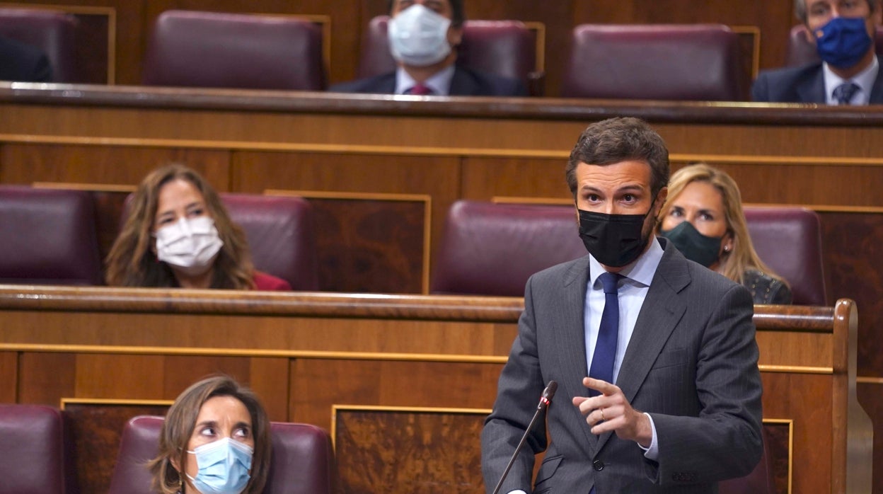 El presidente el PP, Pablo Casado, en el Congreso de los Diputados