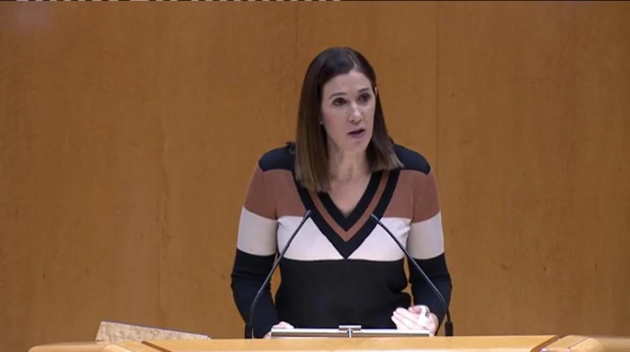Ruth Goñi, senadora de Ciudadanos por Navarra en una intervención en la Cámara Alta.
