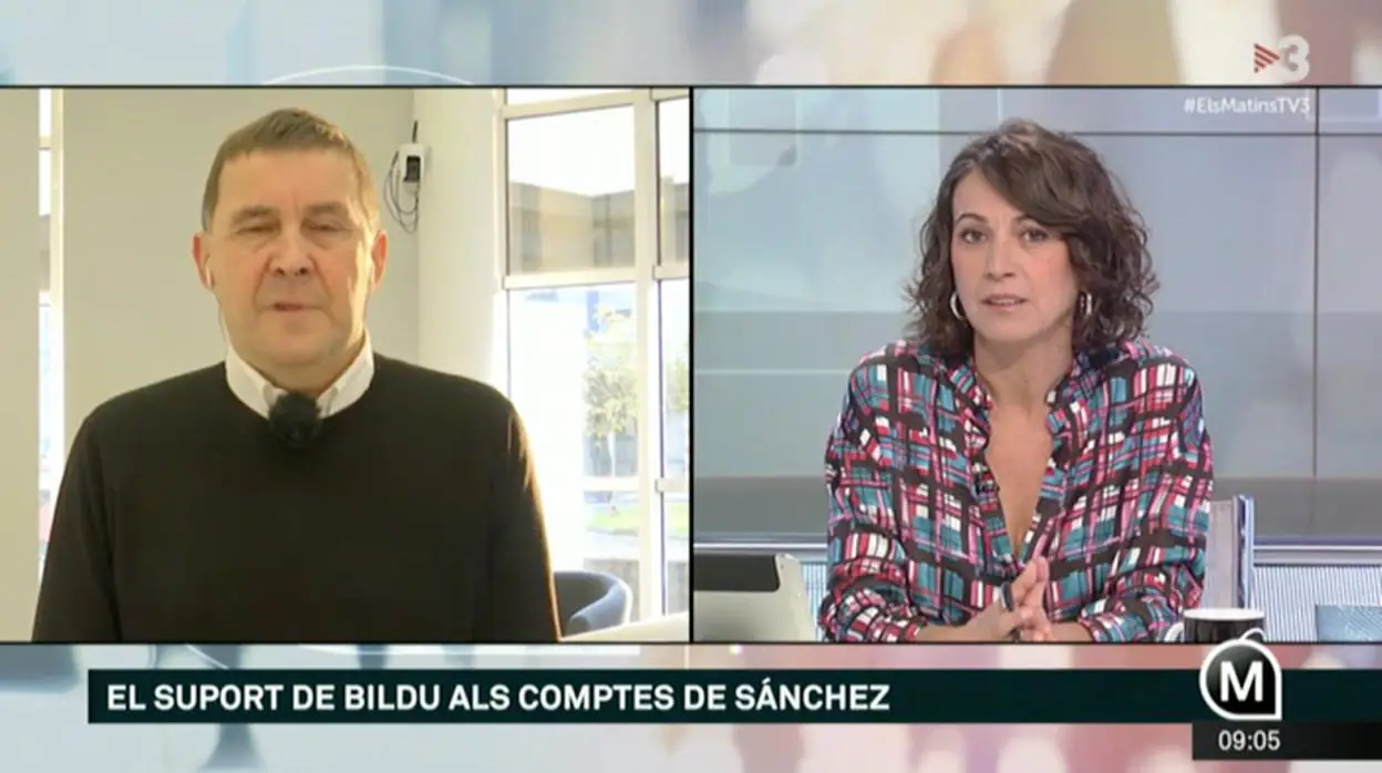 Arnaldo Otegui, en su entrevista en TV3