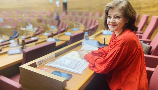 Vox atribuye los suicidios de hombres a las «falsas denuncias e injusticias» de la ley de violencia de género