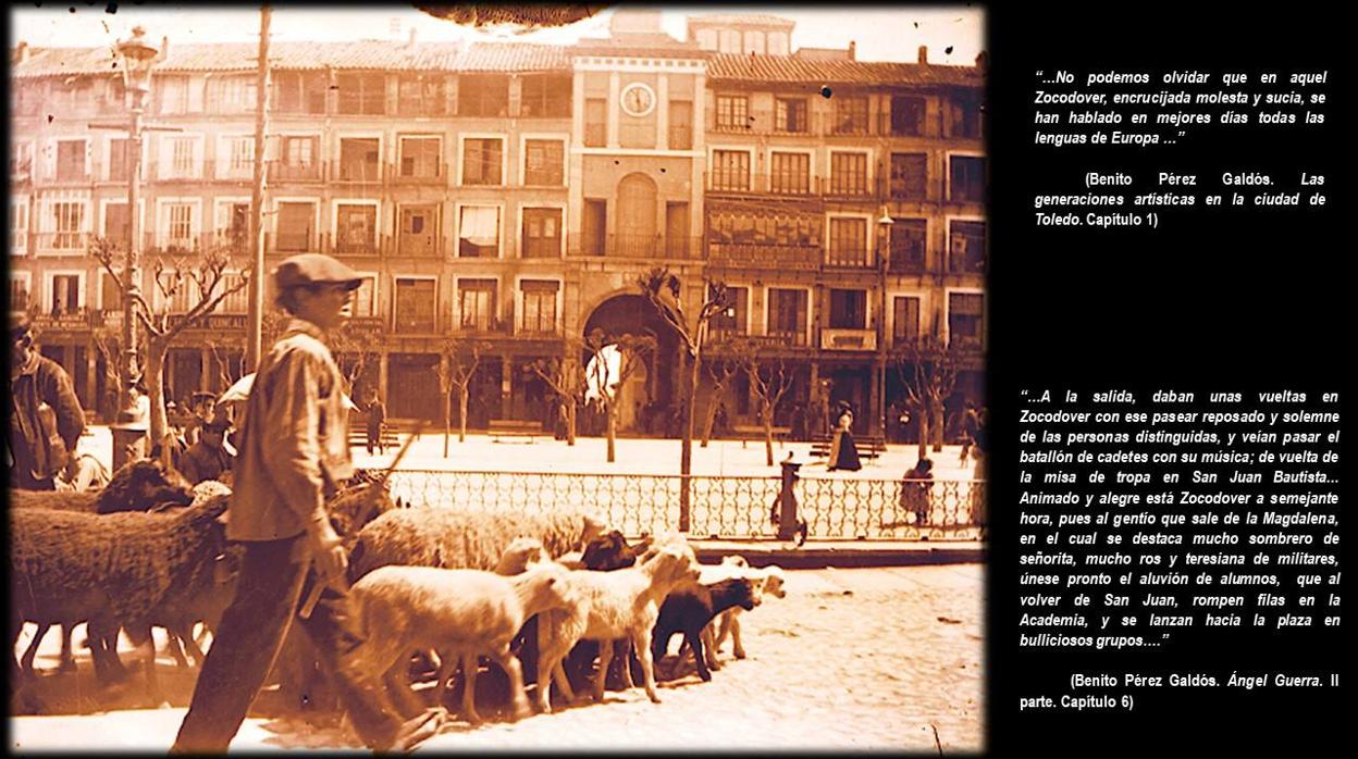 Rebaño de ovejas atravesando la plaza de Zocodover, al fondo el Arco de la Sangre. Hacia 1900. Fotografía de Pedro Román. Fondo Rodríguez. AHP Toledo.