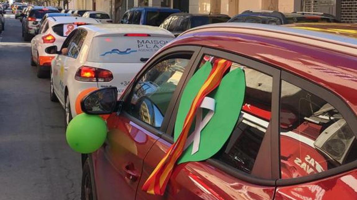 Coches en fila durante al manifestación contra la Ley LOMLOE, este domingo en Torrevieja