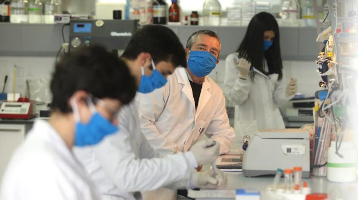 El equipo de José Martínez Costas en el laboratorio del Centro Singular de Investigación en Química Biológica y Materiales Moleculares (Ciqus)