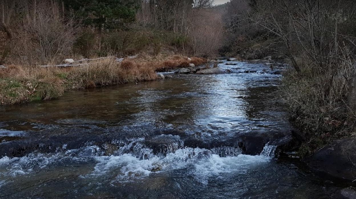 Río Corneja, en el tramo donde se buscaba a la mujer desaparecida