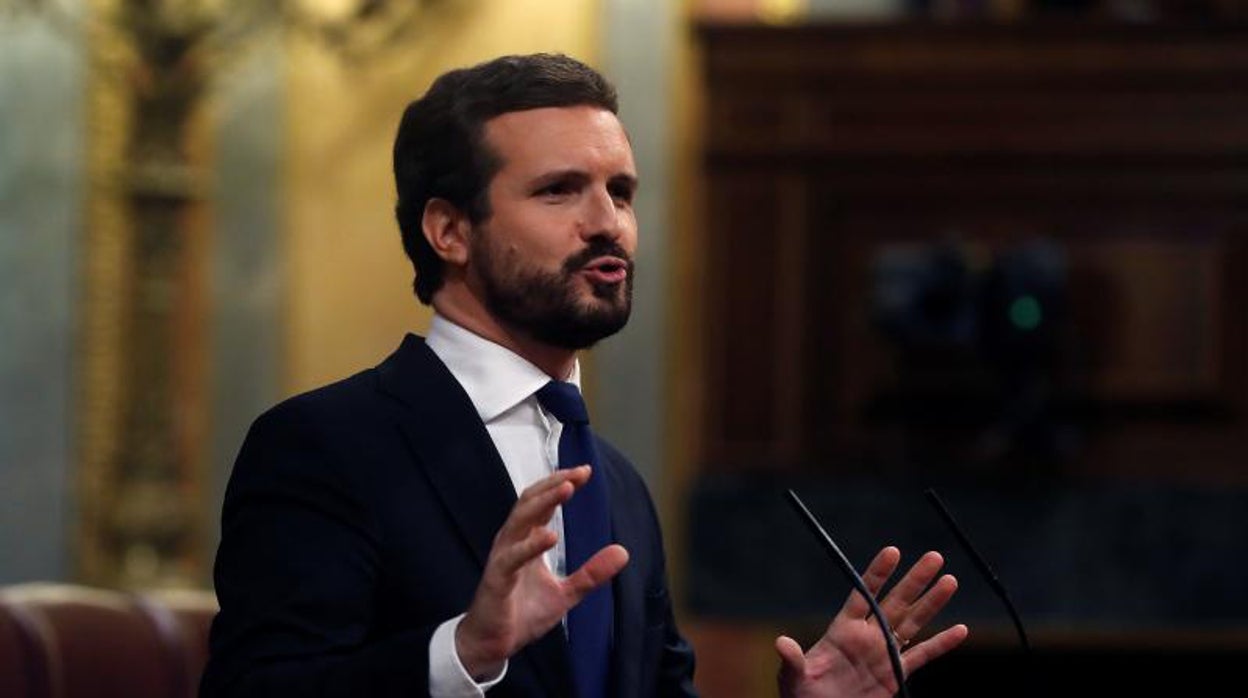 El presidente del PP, Pablo Casado, en el Congreso de los Diputados