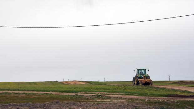 Castilla y León anticipa en dos meses el pago de 813 millones de la PAC