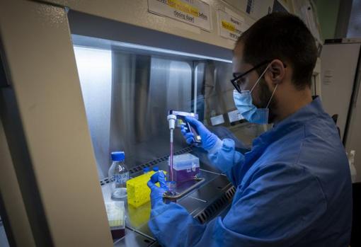 Los siete magníficos de la investigación en Madrid: de bacterias que crean electricidad a superalimentos