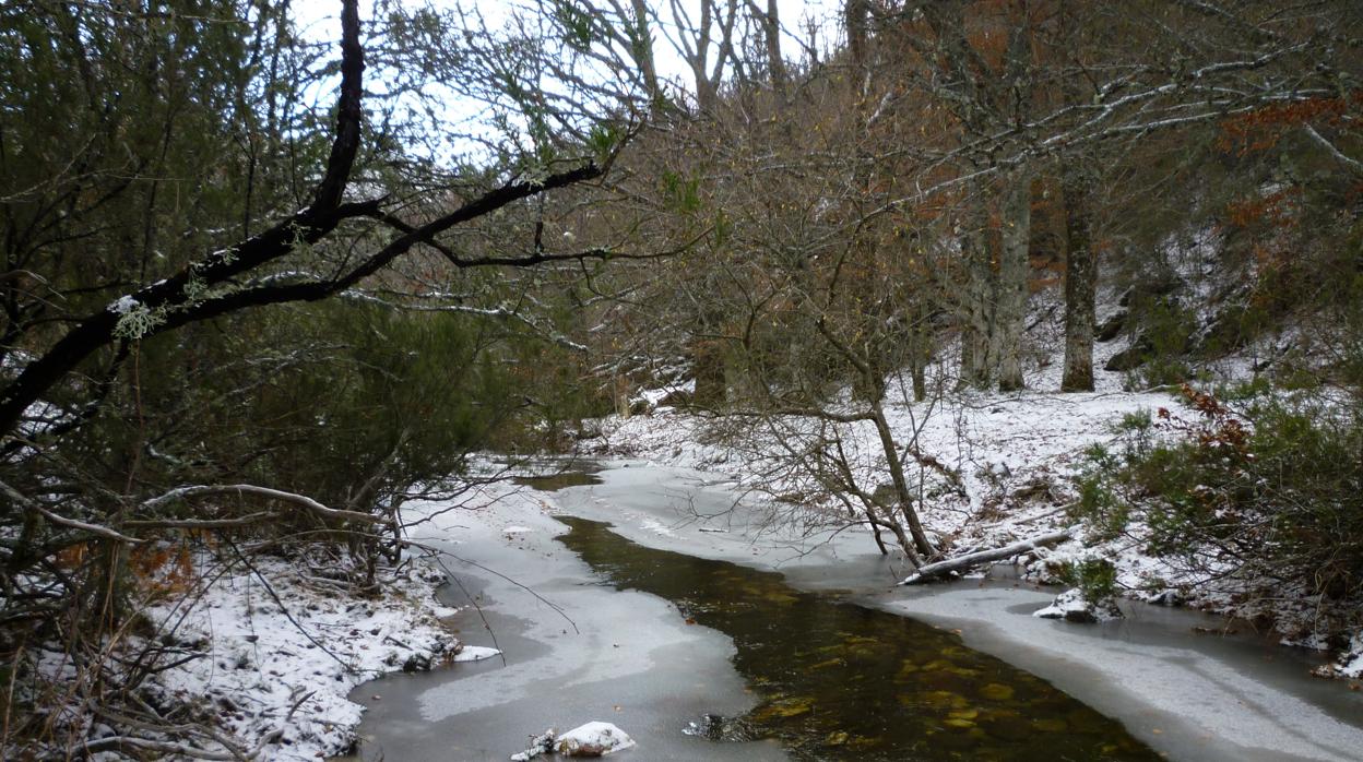 Senda del río, en el Hayedo de Montejo, también visitable durante estas fechas